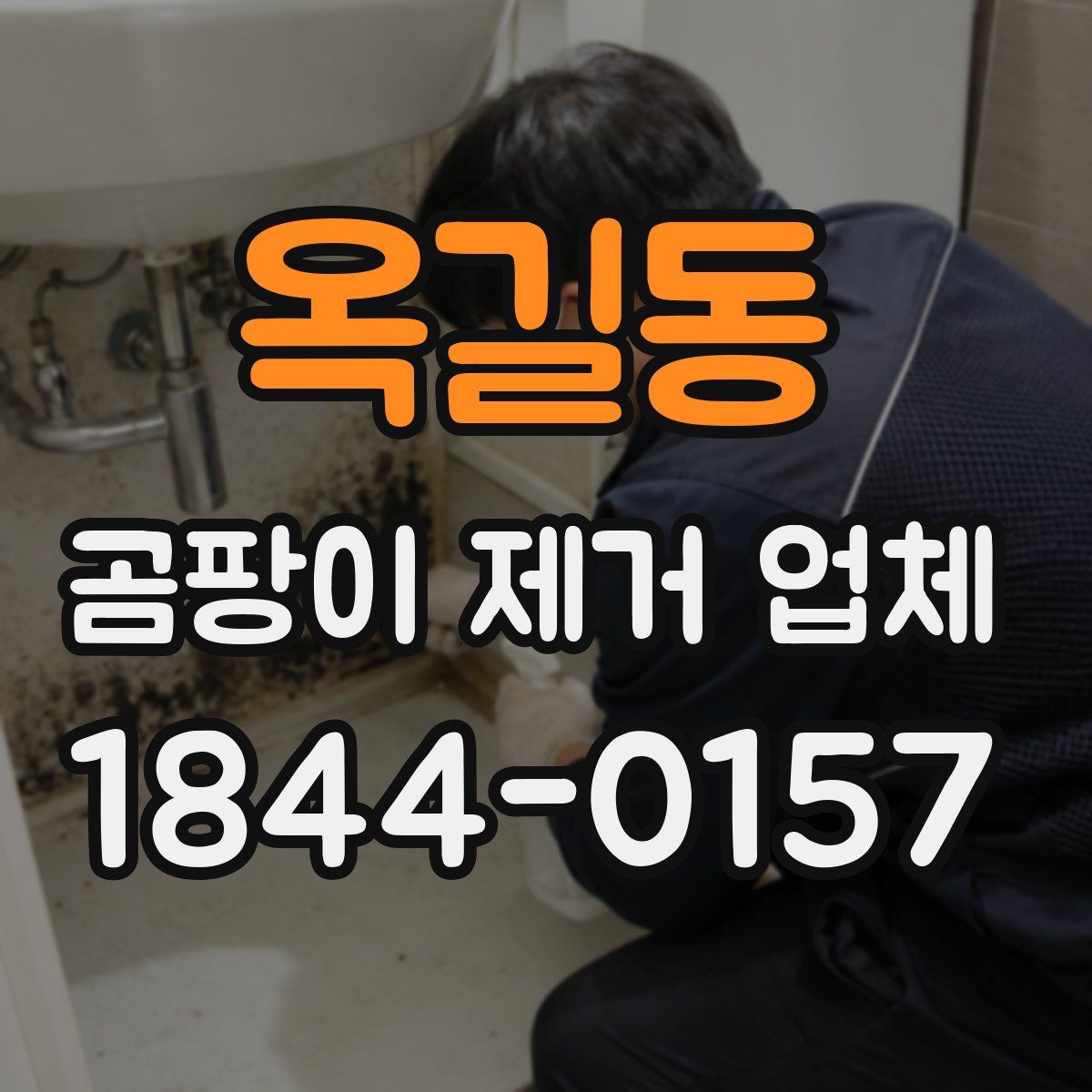 옥길동 곰팡이 제거 업체