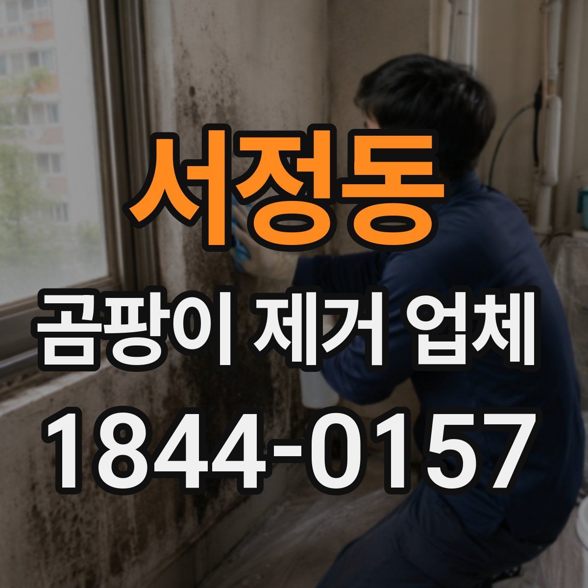 서정동 곰팡이 제거 업체
