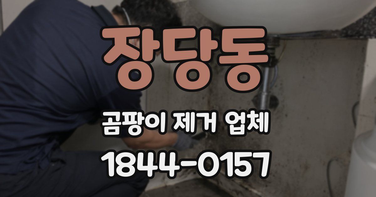 장당동 곰팡이 제거 업체