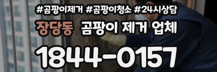 장당동 곰팡이 제거 업체
