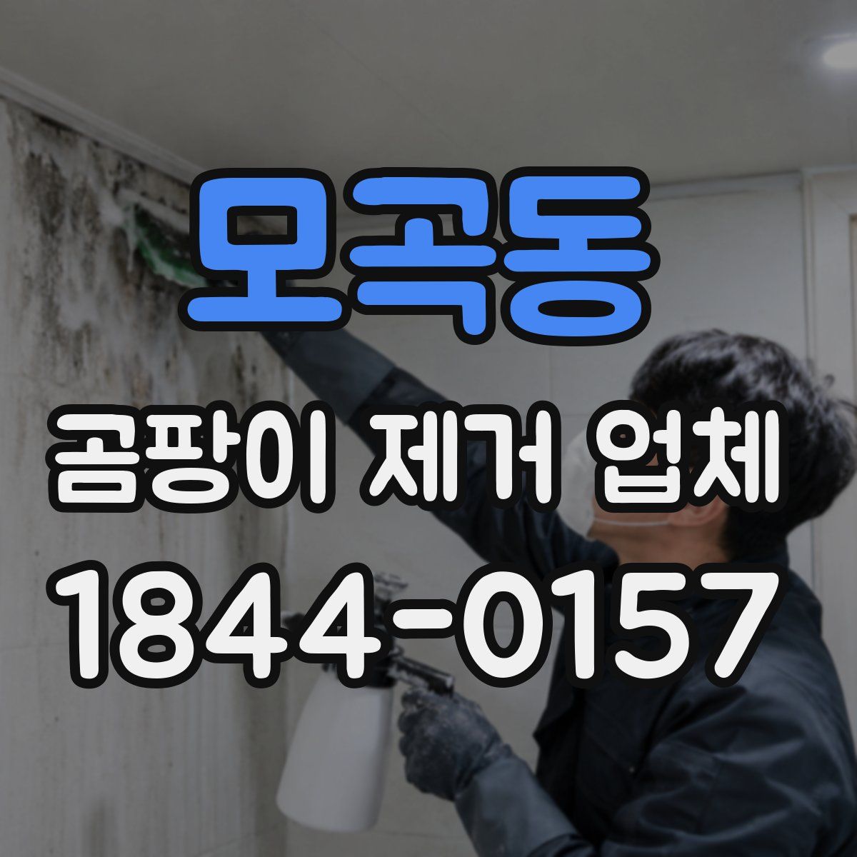 모곡동 곰팡이 제거 업체