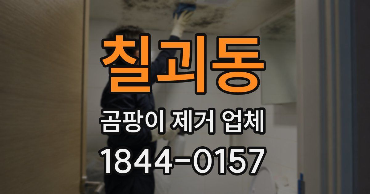 칠괴동 곰팡이 제거 업체