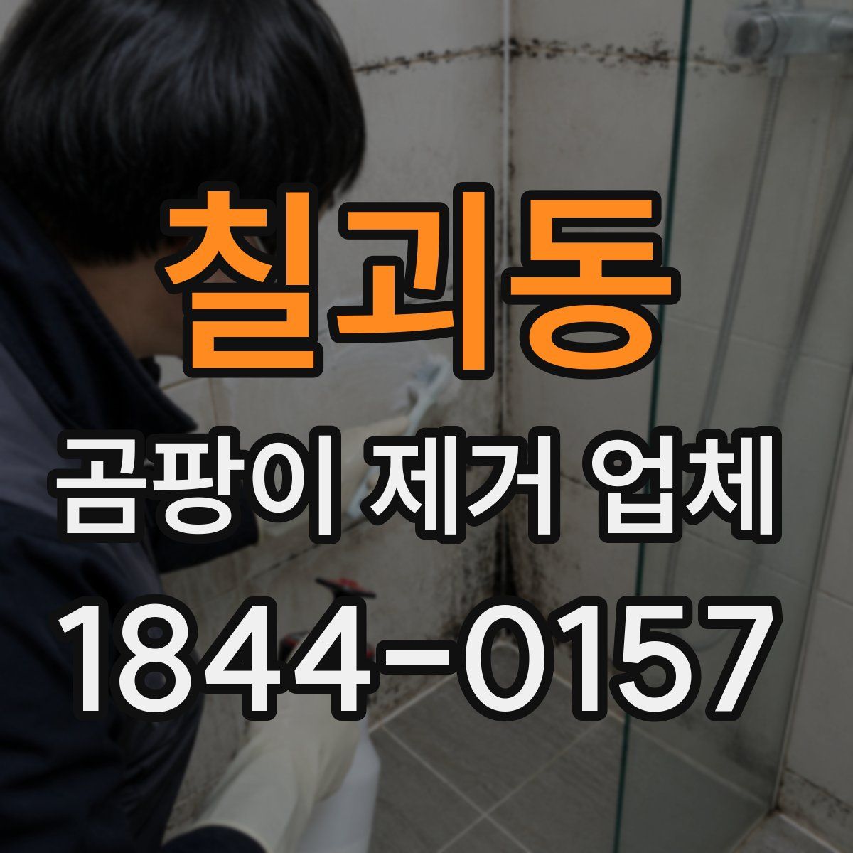 칠괴동 곰팡이 제거 업체