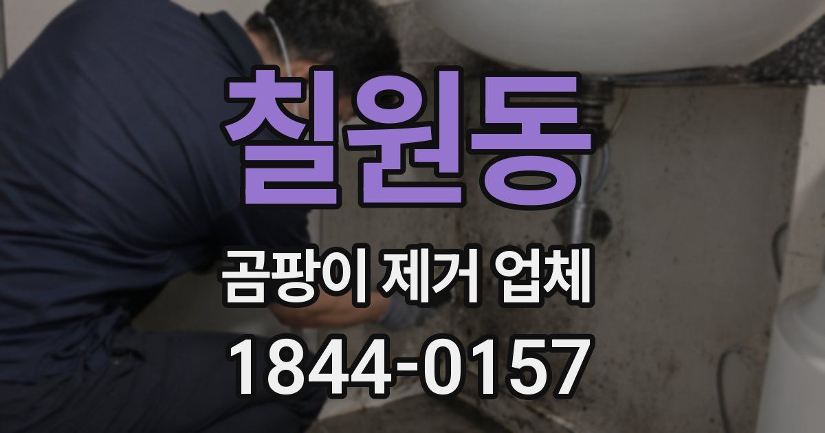칠원동 곰팡이 제거 업체