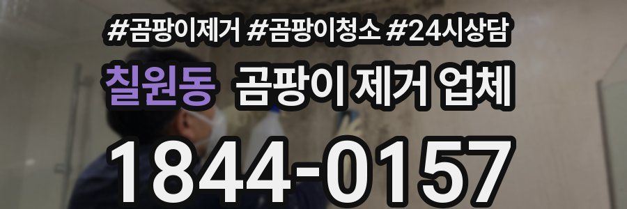 칠원동 곰팡이 제거 업체