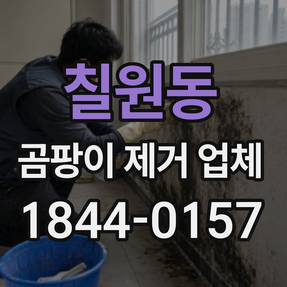 칠원동 곰팡이 제거 업체
