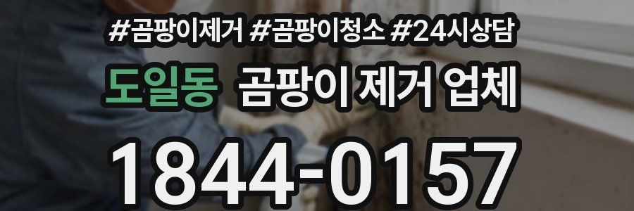 도일동 곰팡이 제거 업체
