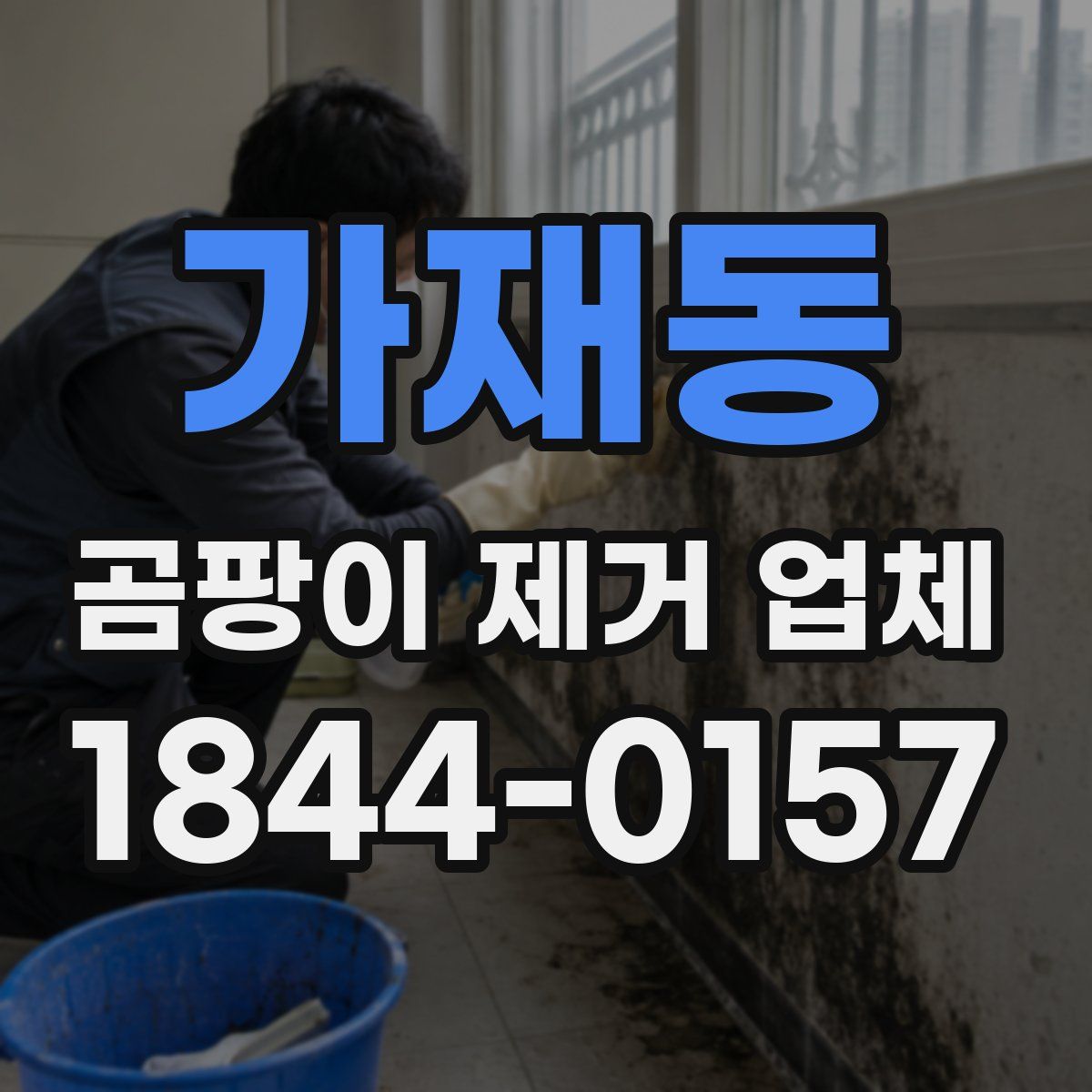 가재동 곰팡이 제거 업체