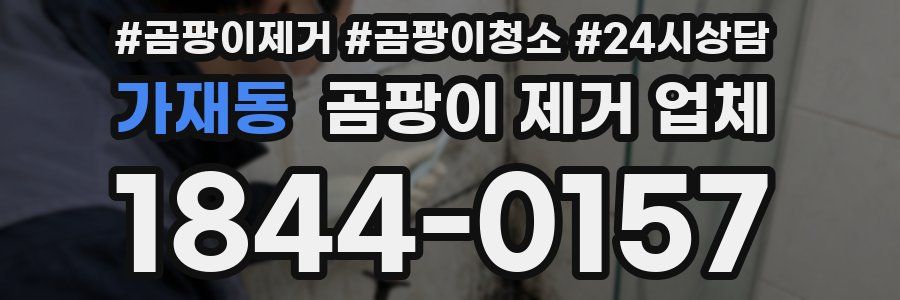 가재동 곰팡이 제거 업체