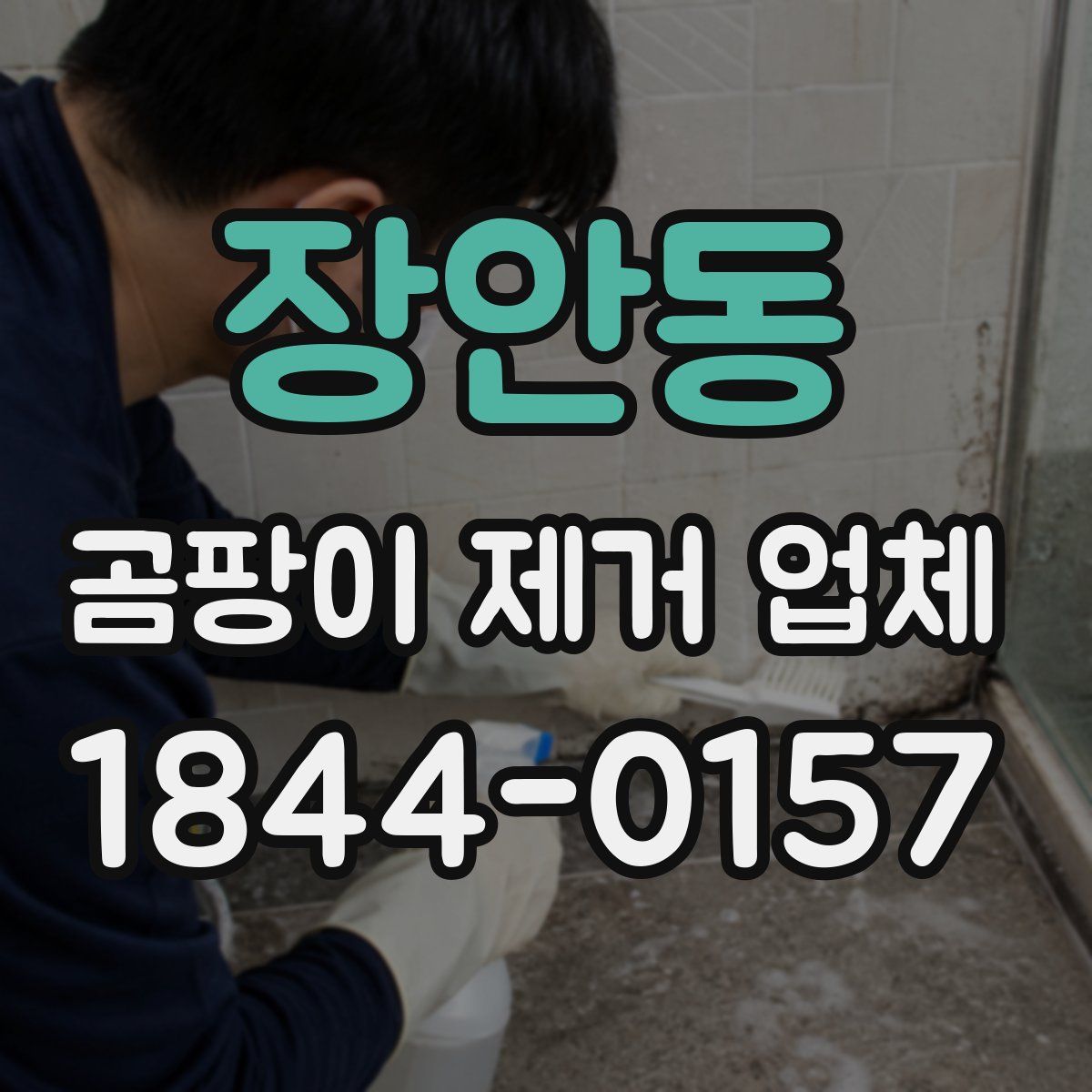 장안동 곰팡이 제거 업체