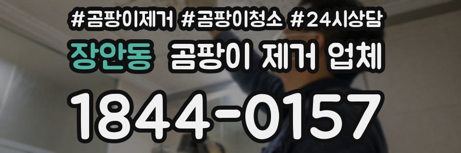 장안동 곰팡이 제거 업체