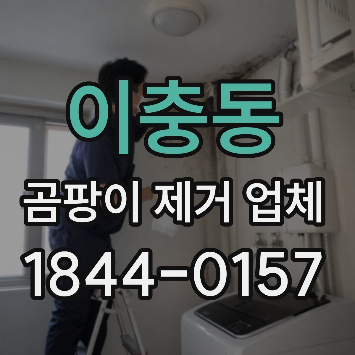이충동 곰팡이 제거 업체