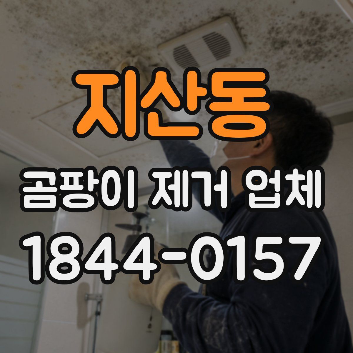 지산동 곰팡이 제거 업체