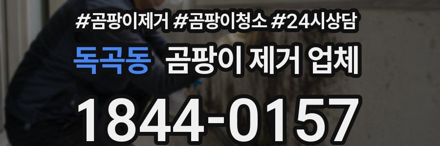 독곡동 곰팡이 제거 업체