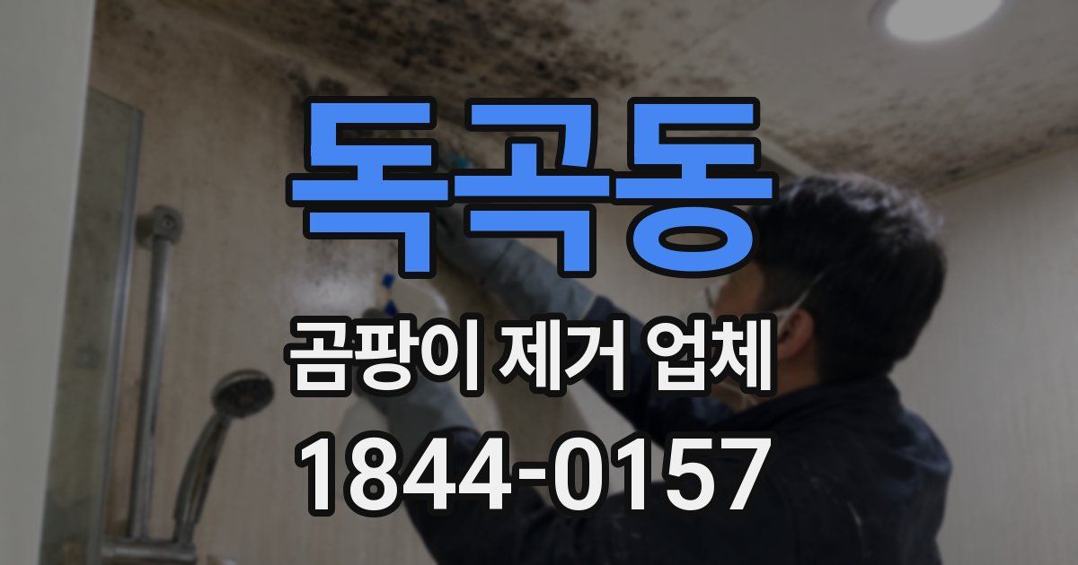 독곡동 곰팡이 제거 업체
