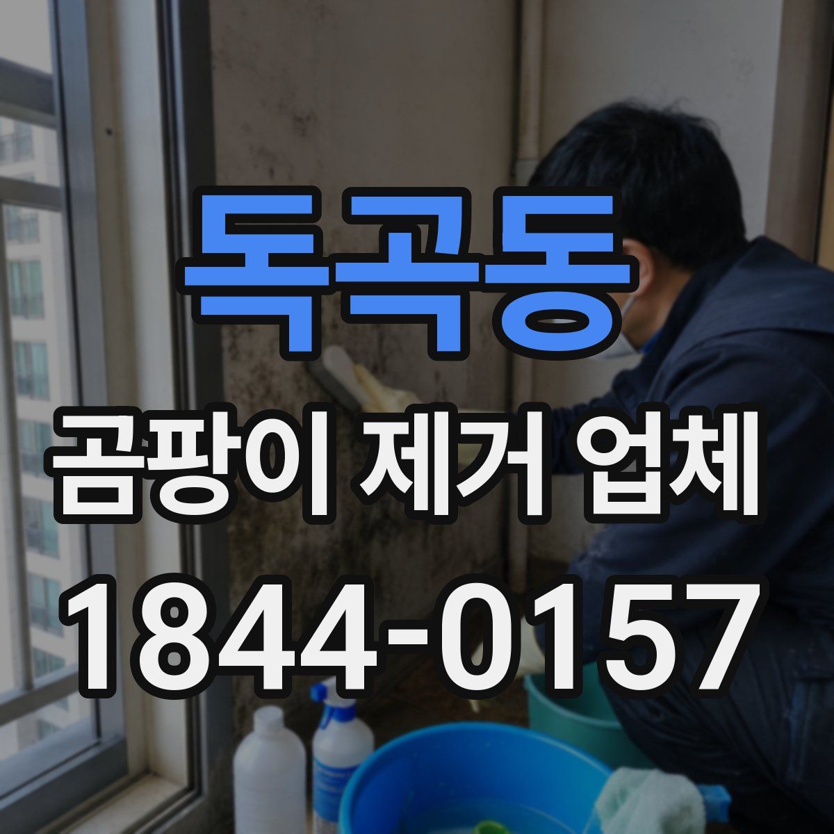 독곡동 곰팡이 제거 업체
