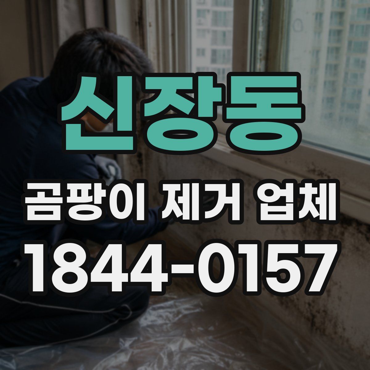 신장동 곰팡이 제거 업체