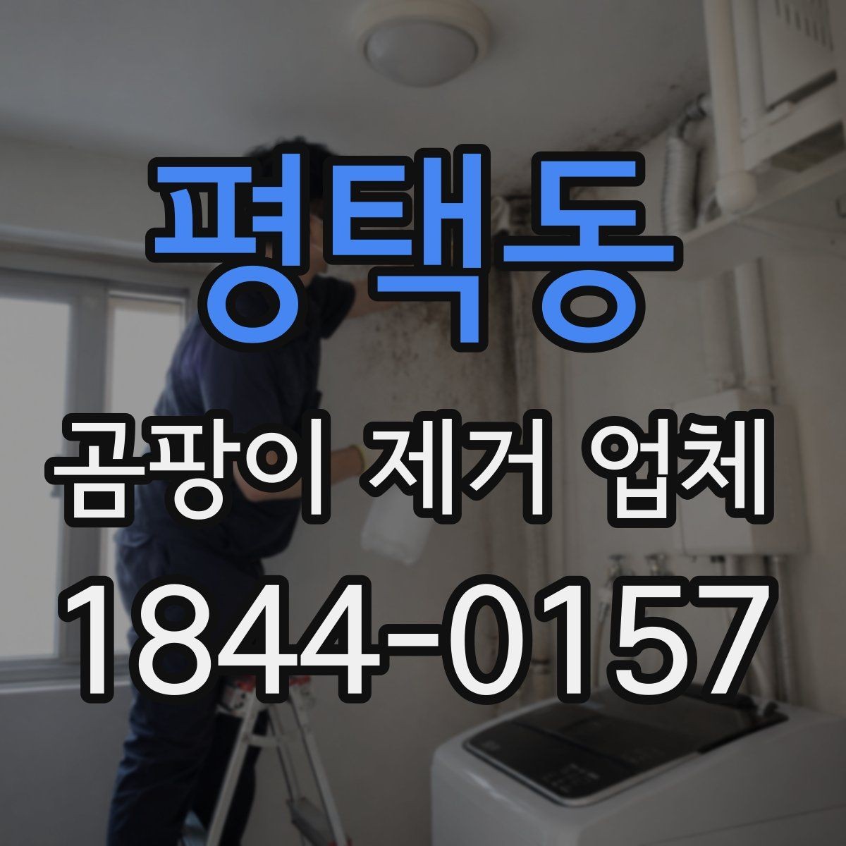 평택동 곰팡이 제거 업체 창틀 실리콘 오염을 확인해야 하는 이유