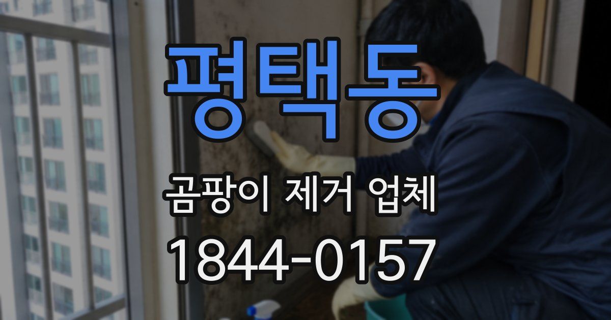 평택동 곰팡이 제거 업체