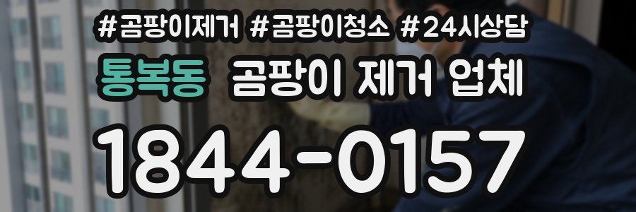 통복동 곰팡이 제거 업체