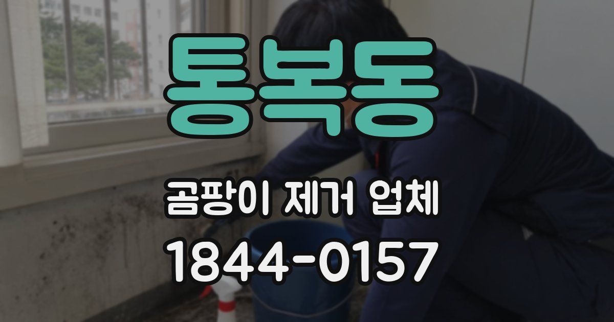 통복동 곰팡이 제거 업체