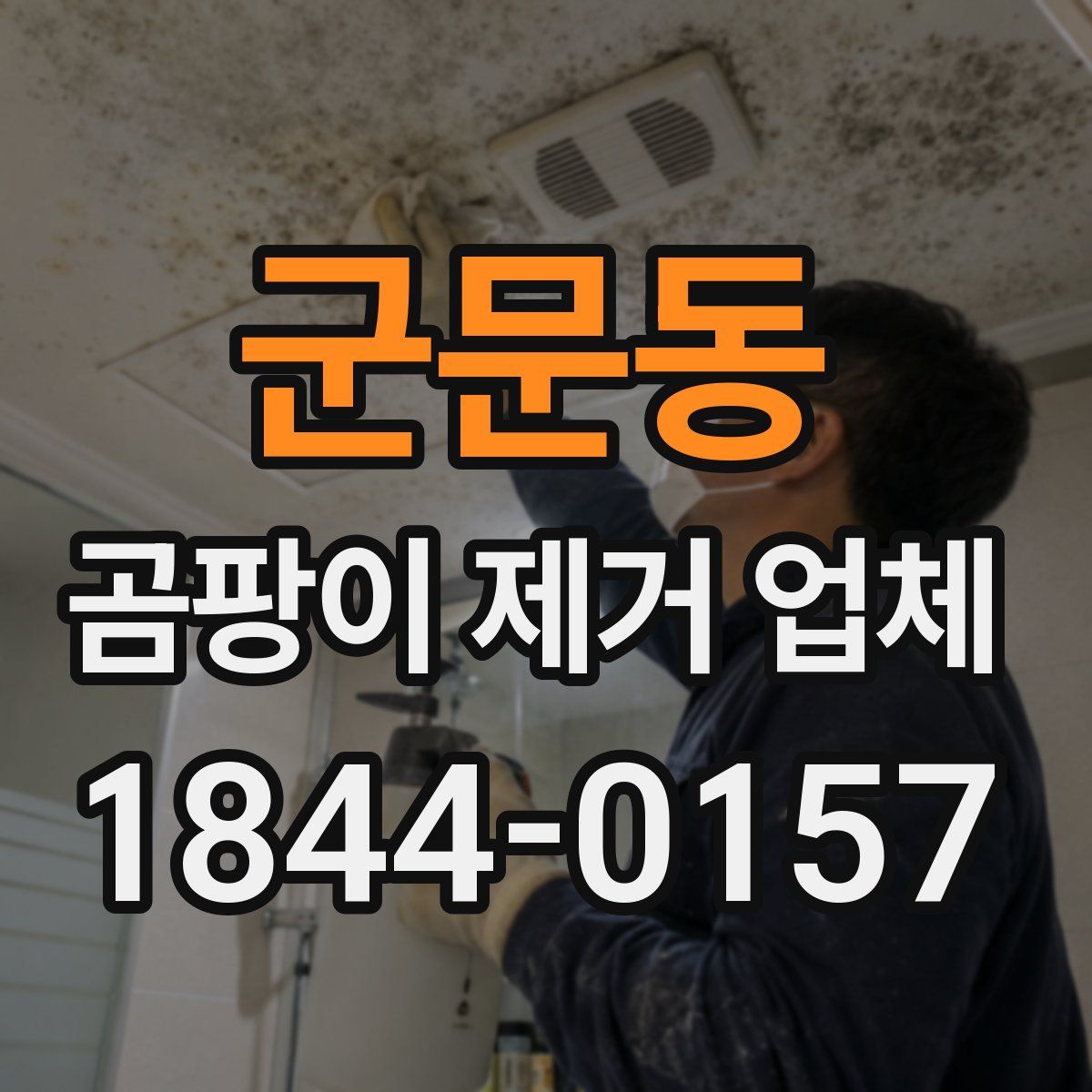 군문동 곰팡이 제거 업체