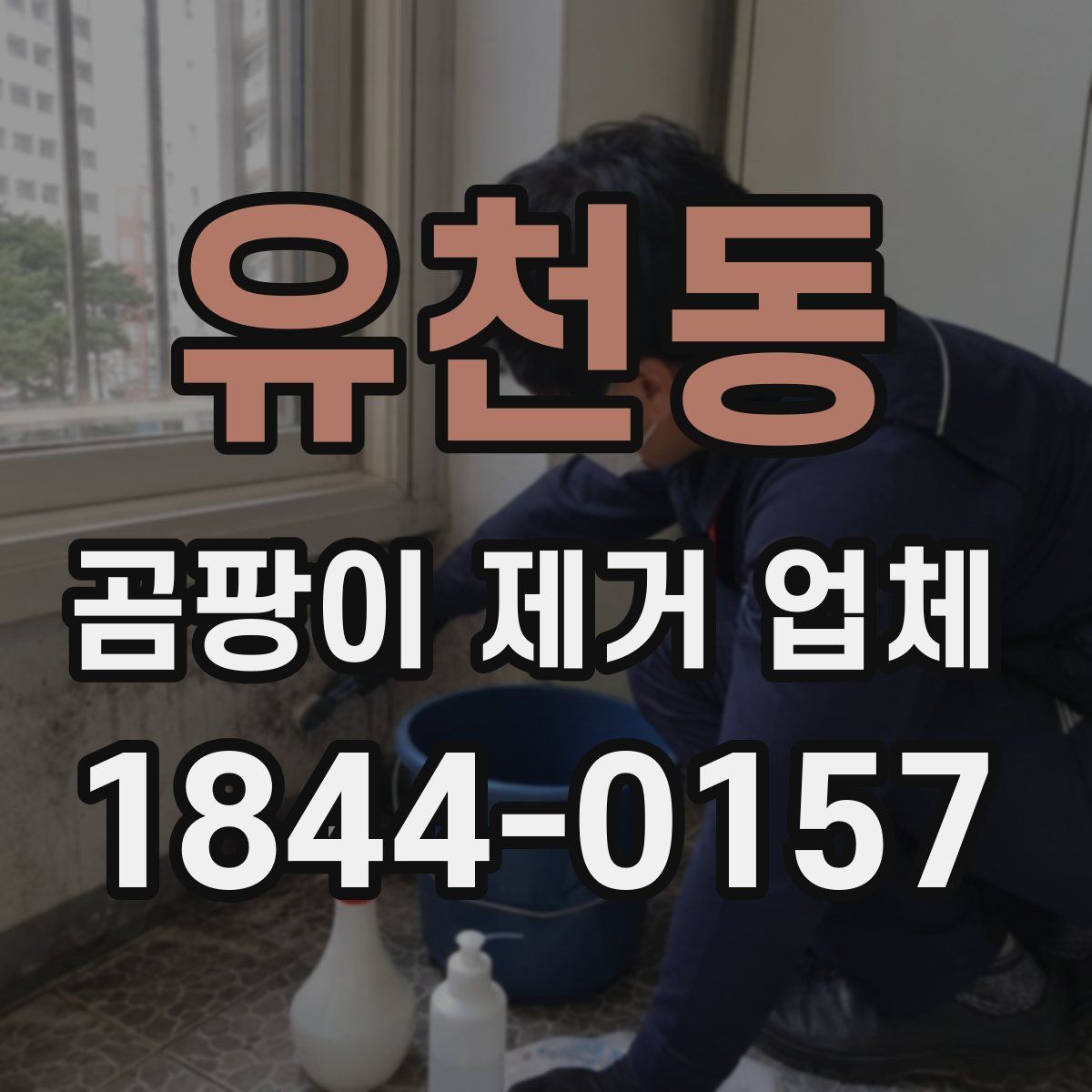유천동 곰팡이 제거 업체
