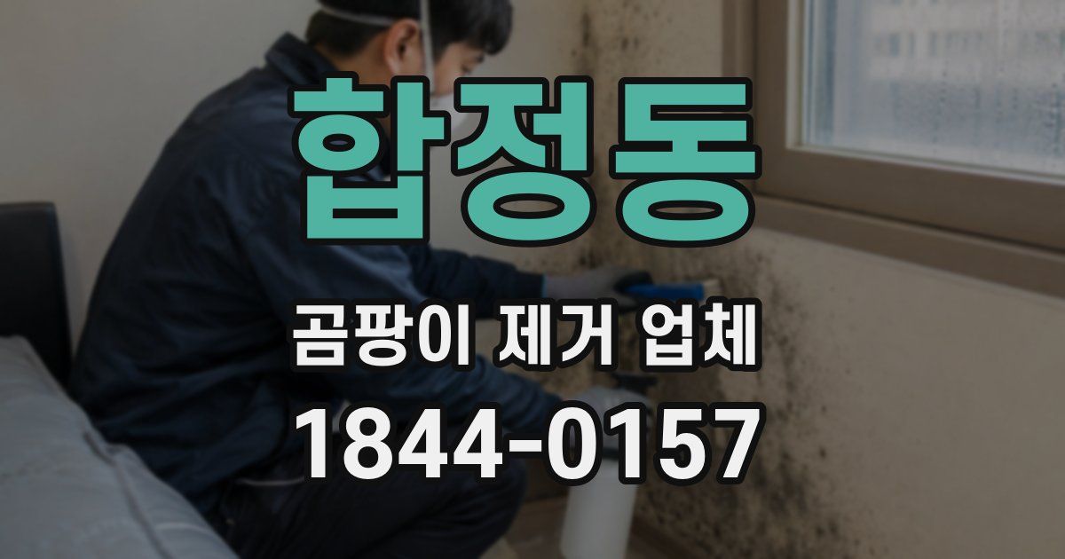 합정동 곰팡이 제거 업체