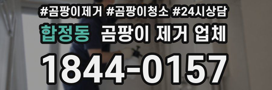 합정동 곰팡이 제거 업체