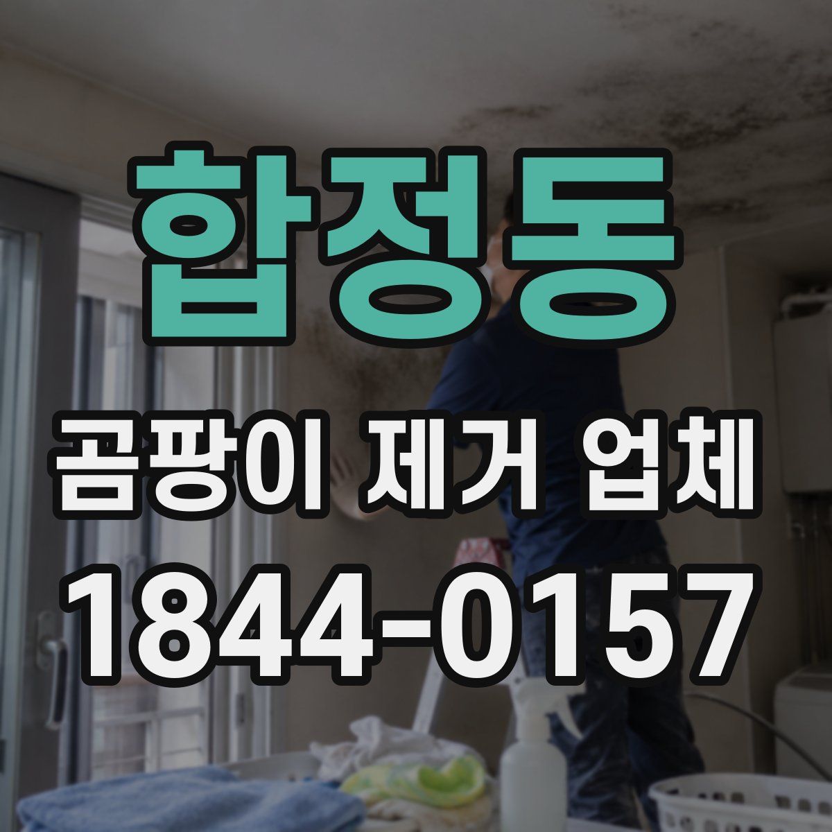 합정동 곰팡이 제거 업체