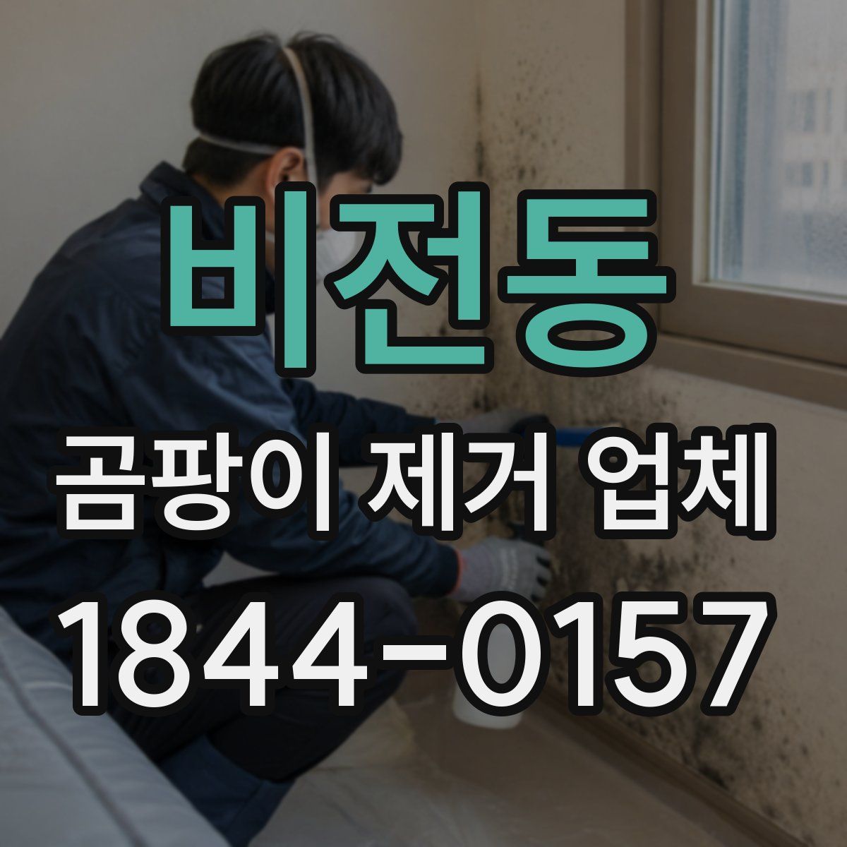 비전동 곰팡이 제거 업체