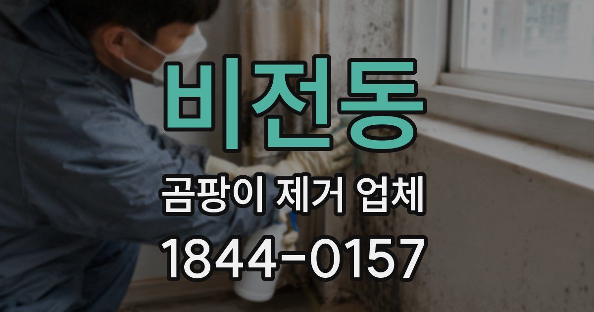 비전동 곰팡이 제거 업체