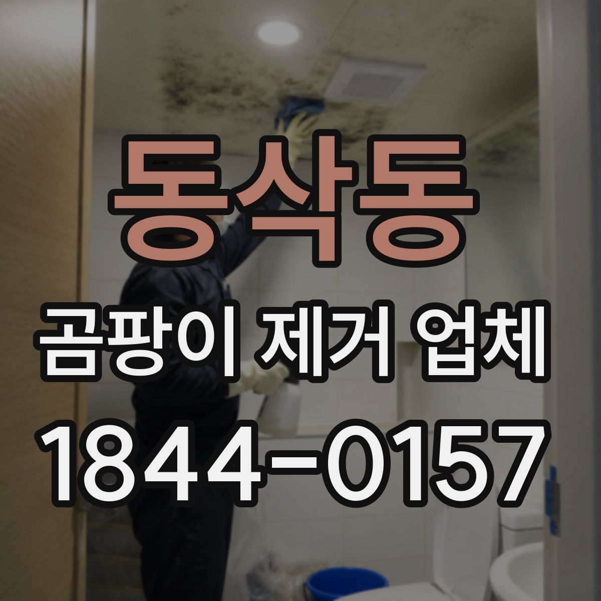 동삭동 곰팡이 제거 업체