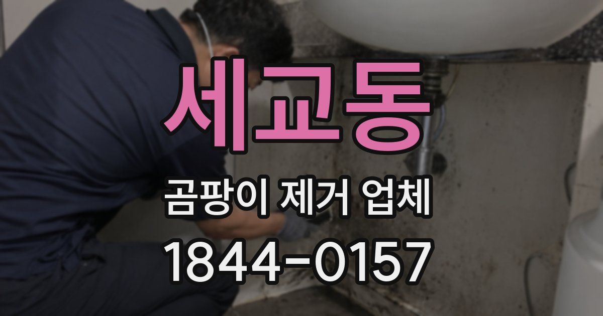 세교동 곰팡이 제거 업체