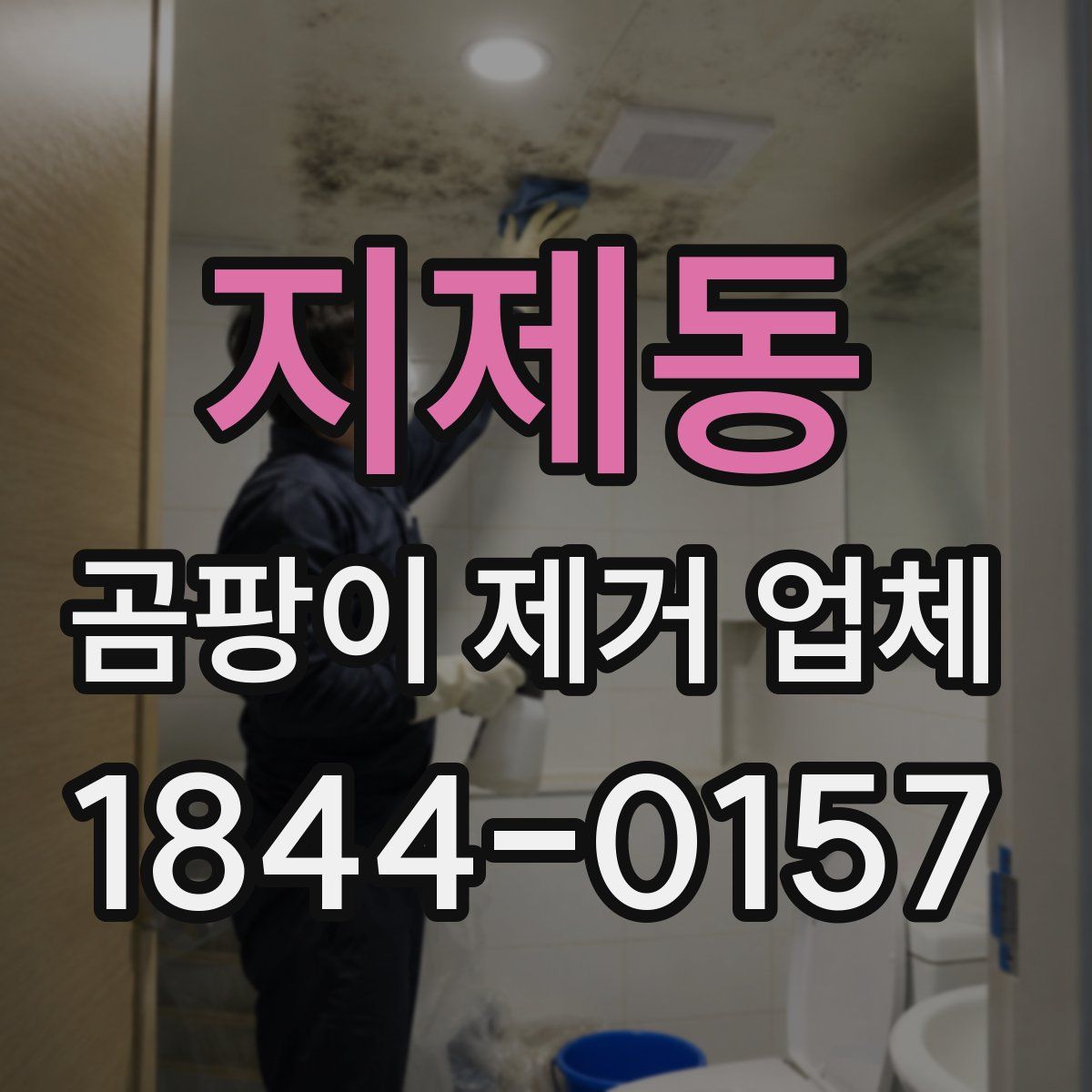 지제동 곰팡이 제거 업체