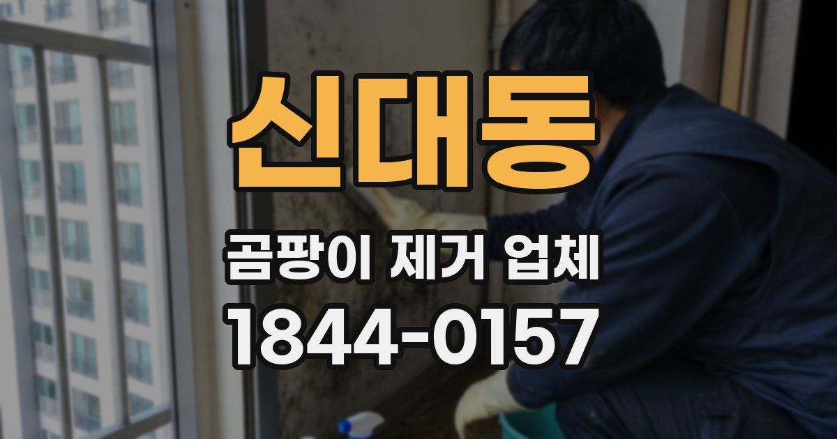 신대동 곰팡이 제거 업체