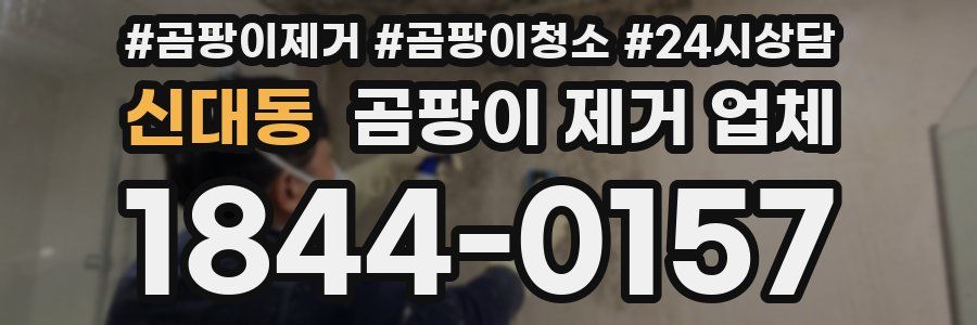 신대동 곰팡이 제거 업체