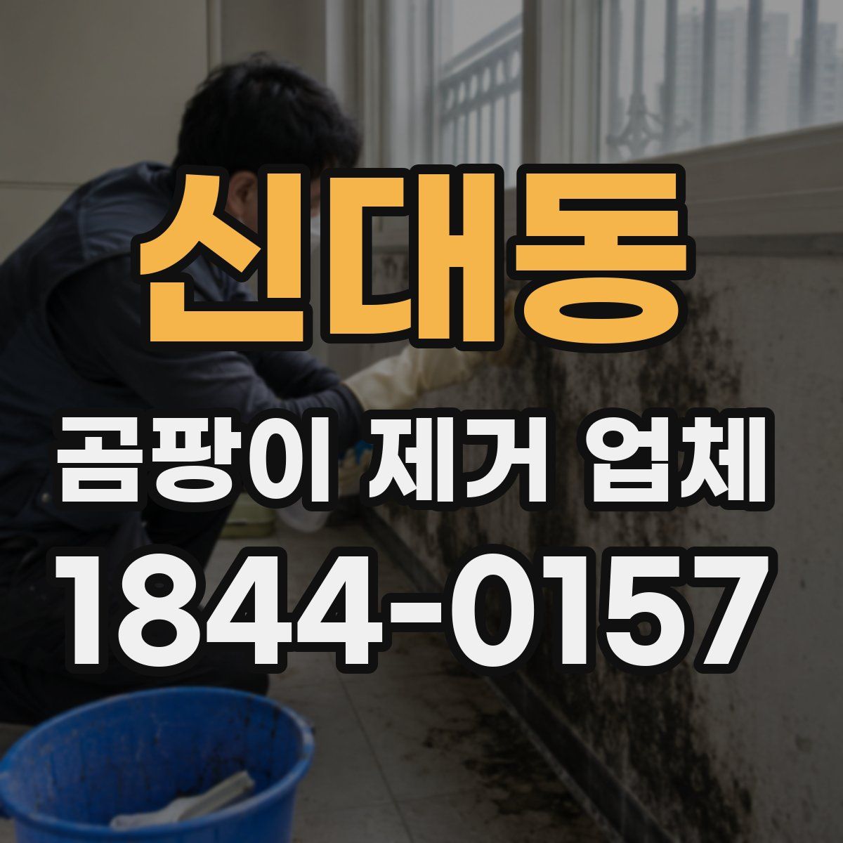 신대동 곰팡이 제거 업체