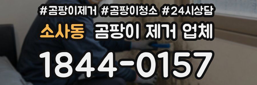 소사동 곰팡이 제거 업체