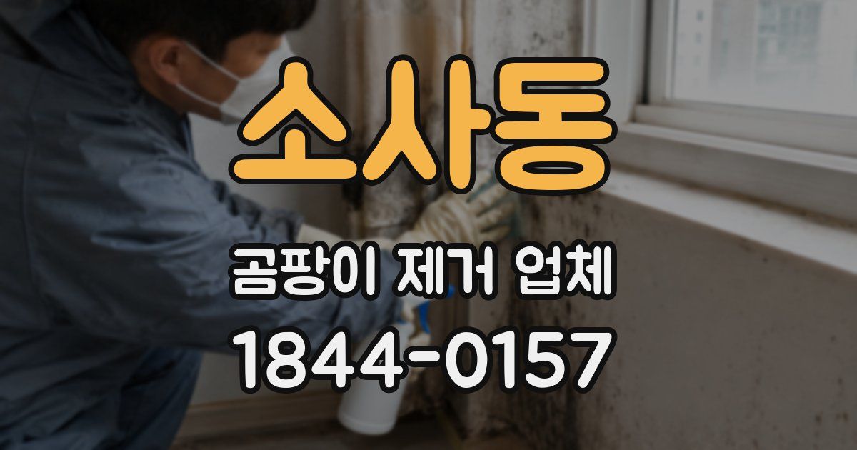 소사동 곰팡이 제거 업체