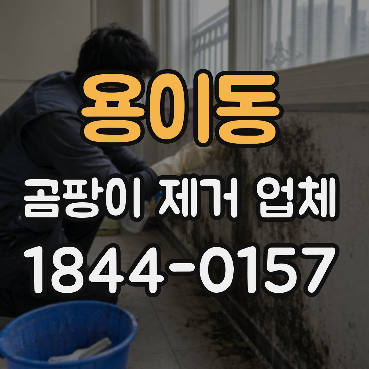 용이동 곰팡이 제거 업체