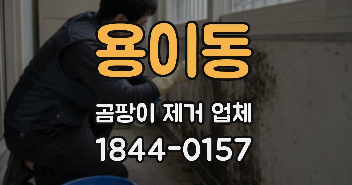 용이동 곰팡이 제거 업체