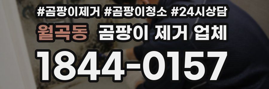월곡동 곰팡이 제거 업체