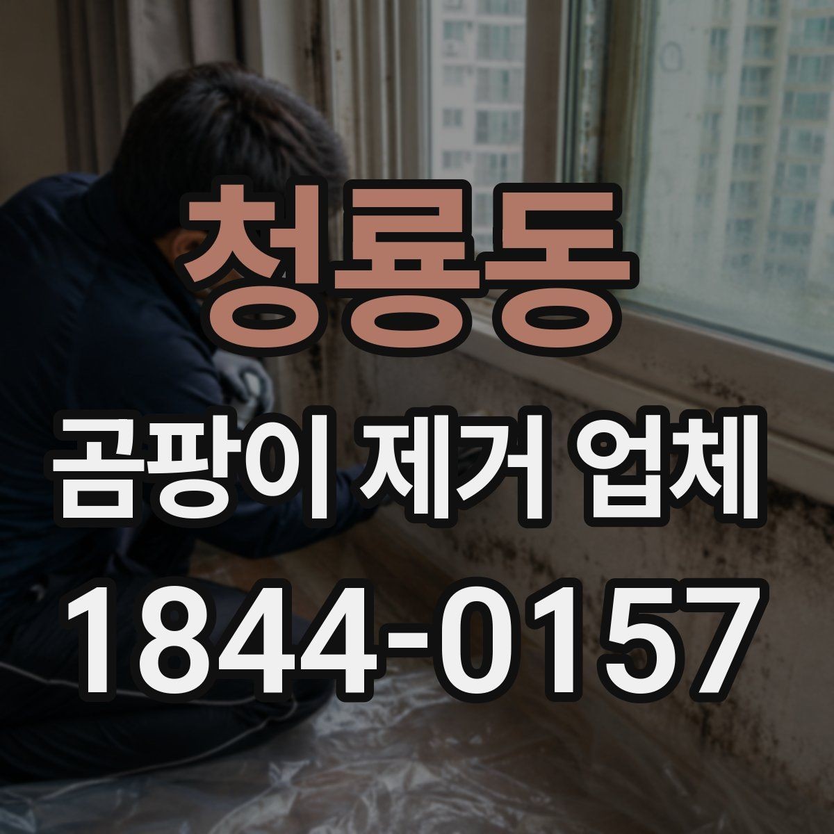 청룡동 곰팡이 제거 업체 실내 습도와 오염 재발의 관계 살피기