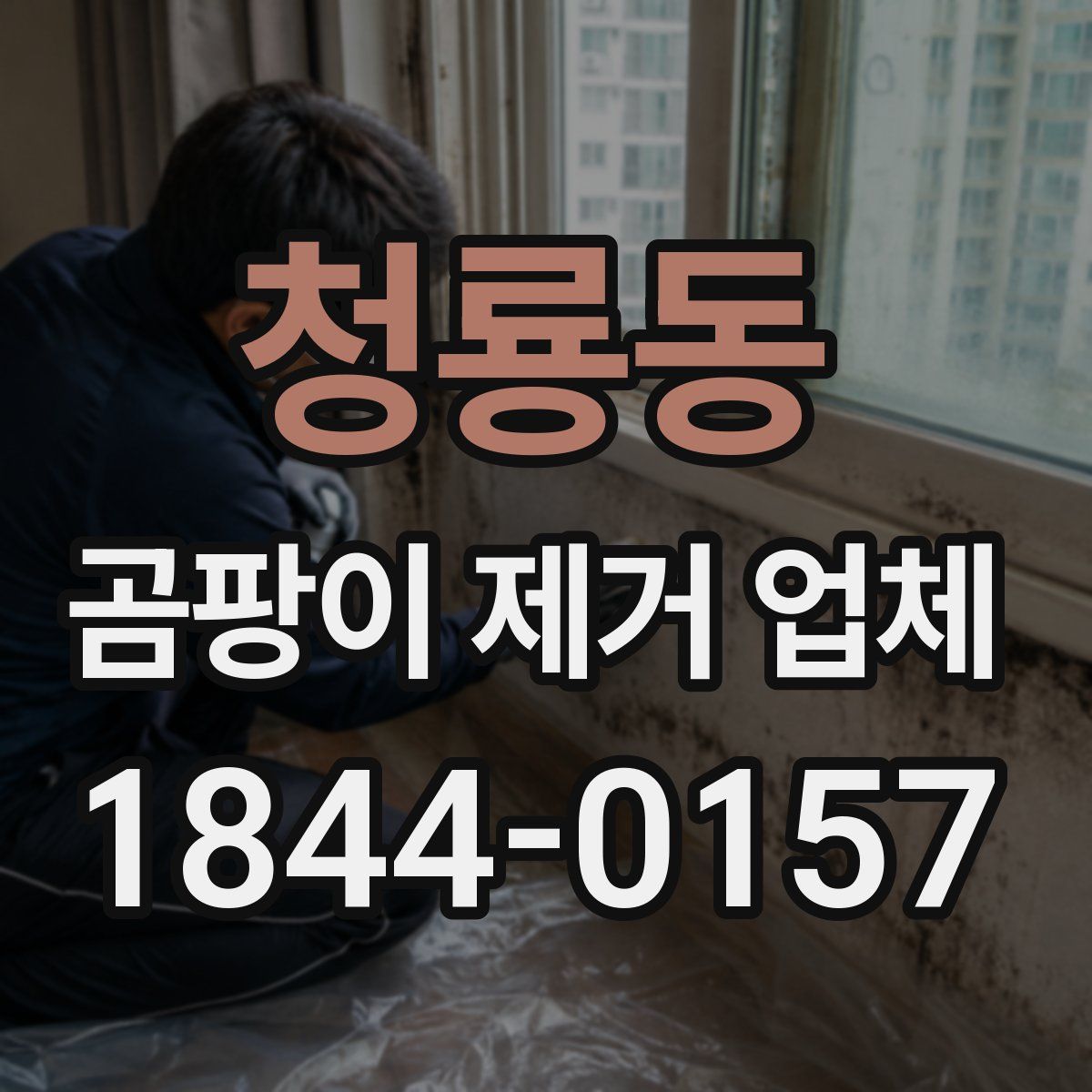 청룡동 곰팡이 제거 업체