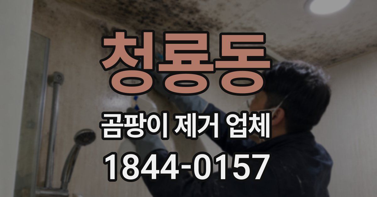 청룡동 곰팡이 제거 업체