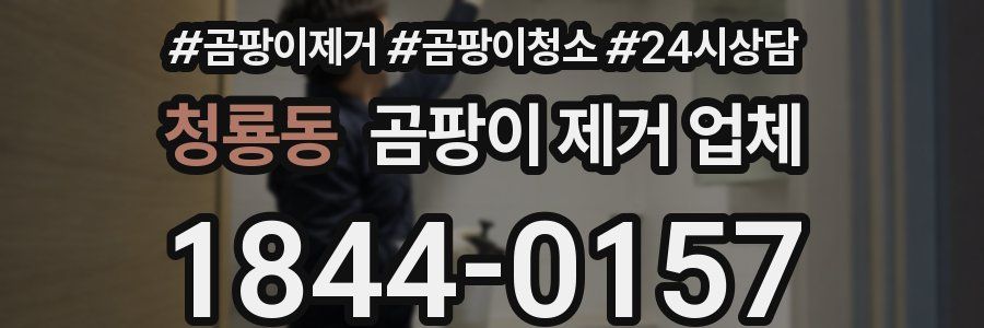청룡동 곰팡이 제거 업체