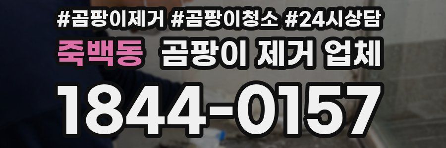 죽백동 곰팡이 제거 업체