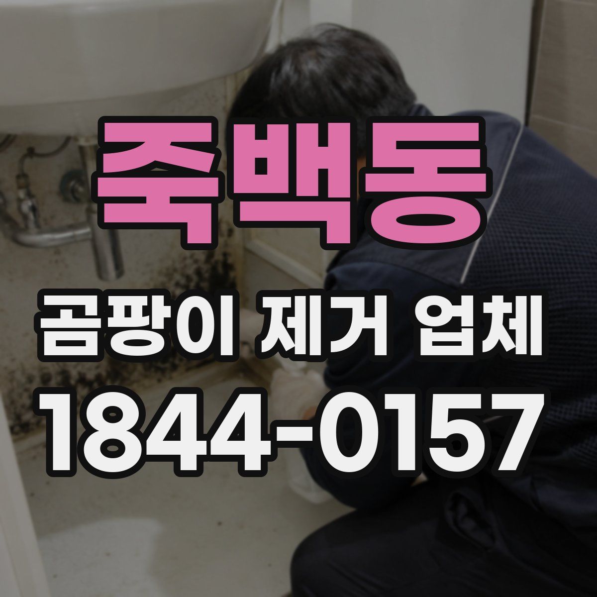 죽백동 곰팡이 제거 업체