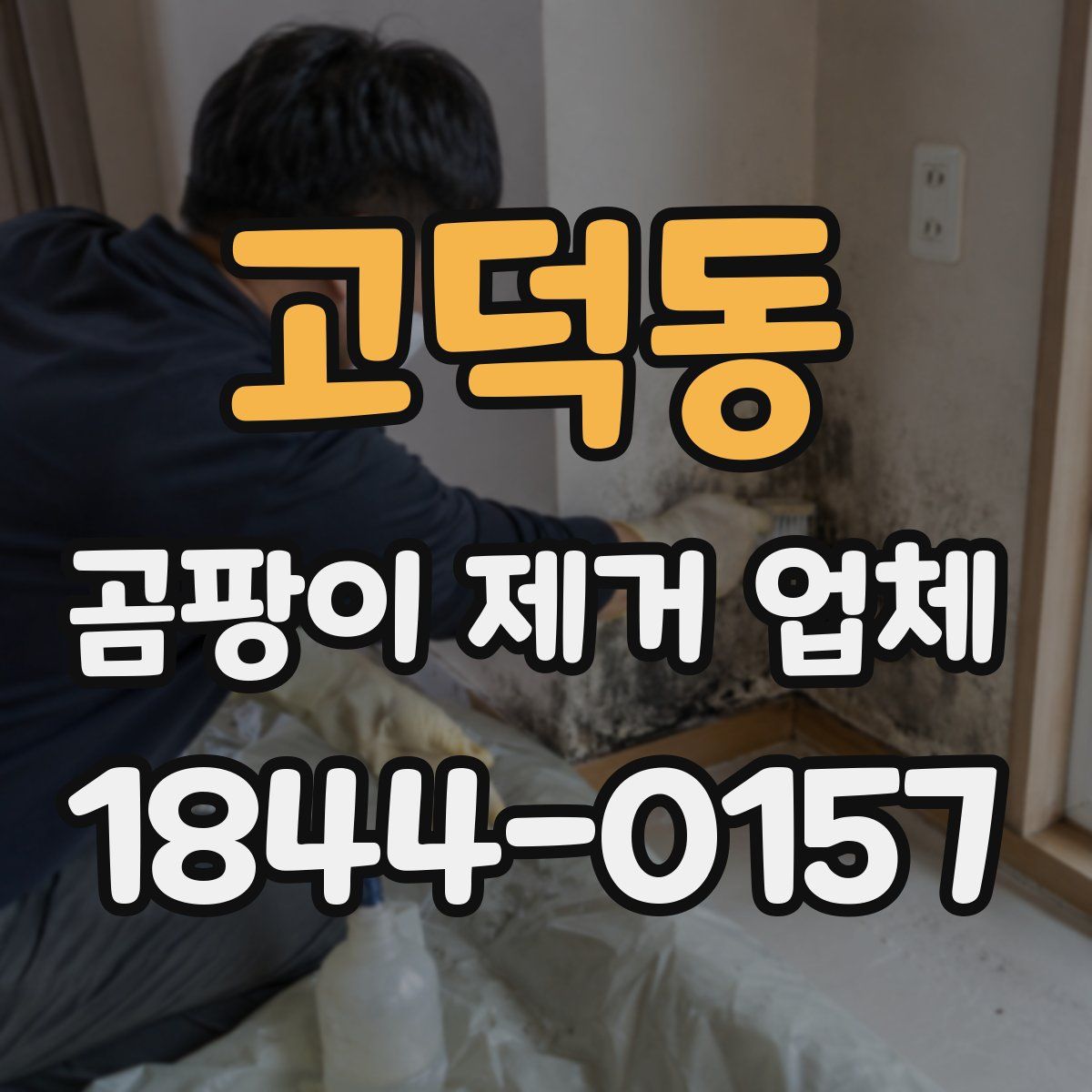 고덕동 곰팡이 제거 업체